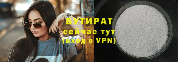 сатива Великий Новгород