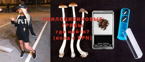 дурь Братск