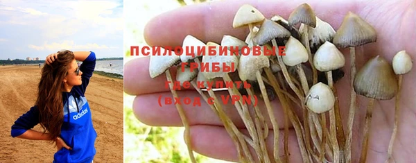 прущая мука Майский