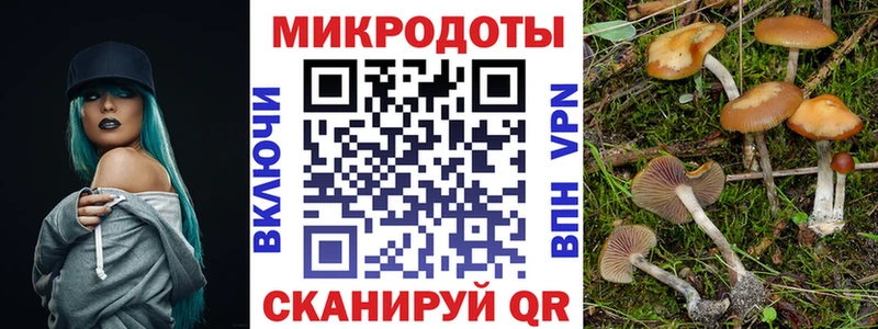 Галлюциногенные грибы Magic Shrooms  Владикавказ 
