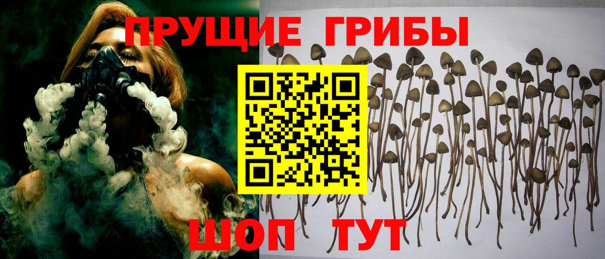 Галлюциногенные грибы мицелий  Вход с VPN  хочу наркоту  Владикавказ  Галлюциногенные грибы Psilocybine cubensis 